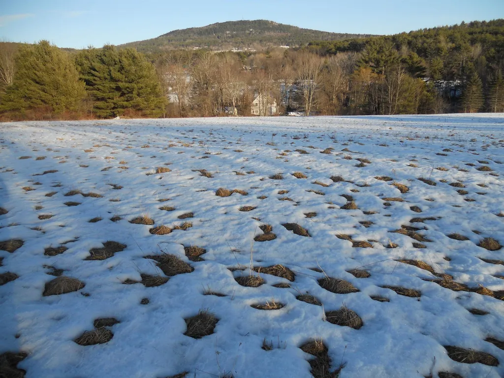 145 Thrasher Road Claremont NH 03743