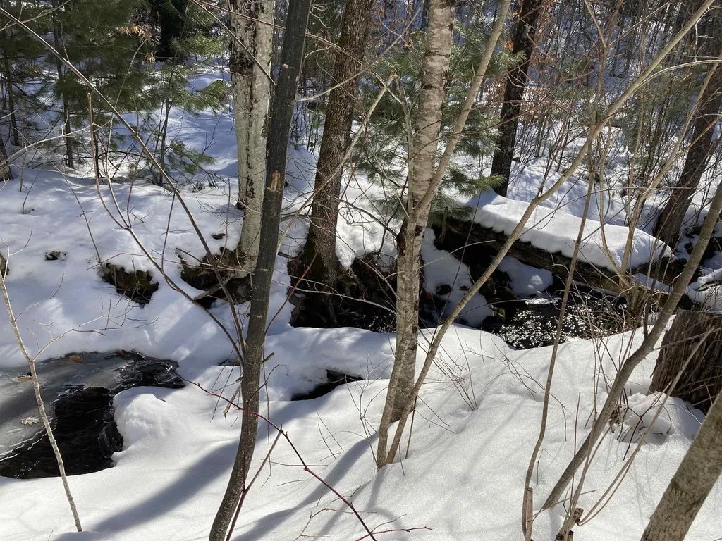 9 Tunnel Road Grafton NH 03240