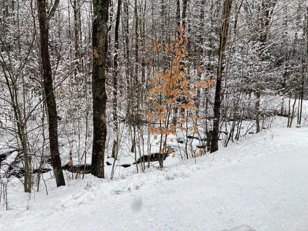 9 Tunnel Road Grafton NH 03240