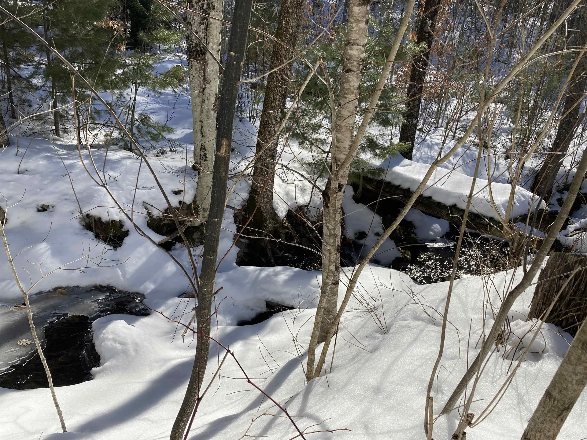 9 Tunnel Road Grafton NH 03240