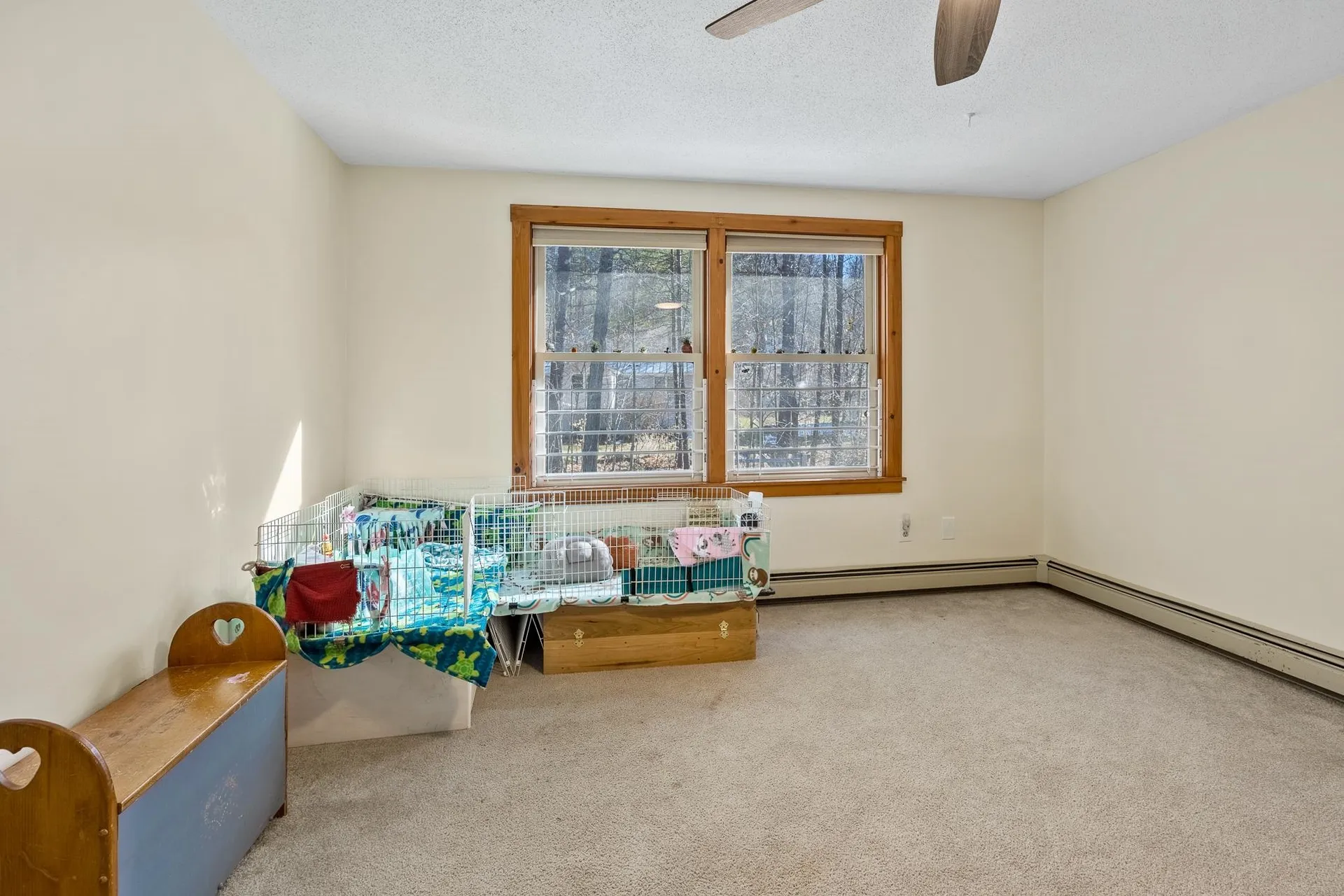 10 Cottage Circle Lebanon NH 03784