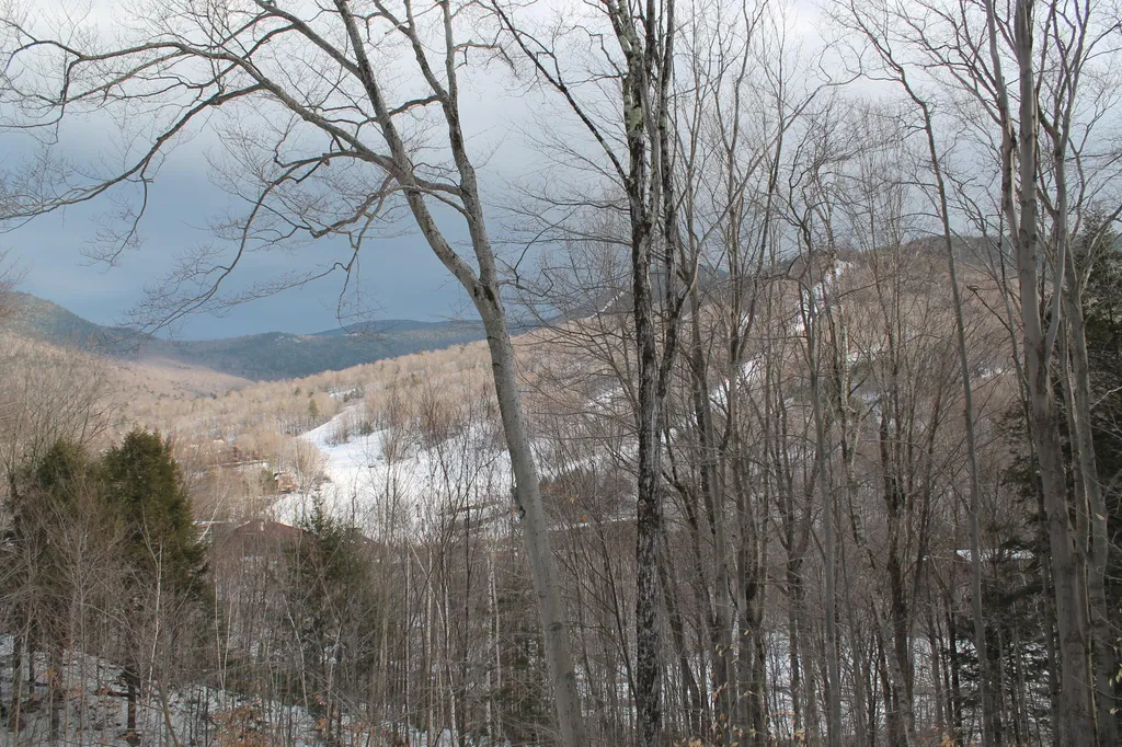 11 C Westview Road Lincoln NH 03251