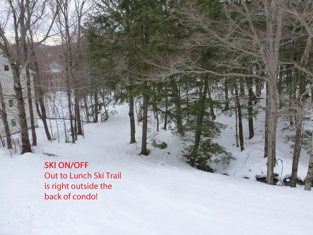 58 Forum Drive Warren VT 05674