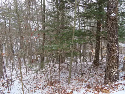 Lot 68 Scott Drive Alton NH 03810