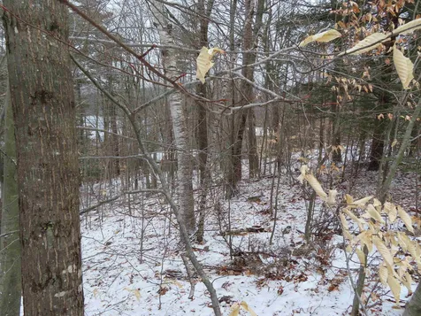 Lot 68 Scott Drive Alton NH 03810