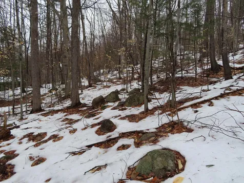 Lot 68 Scott Drive Alton NH 03810