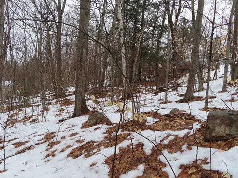 Lot 68 Scott Drive Alton NH 03810