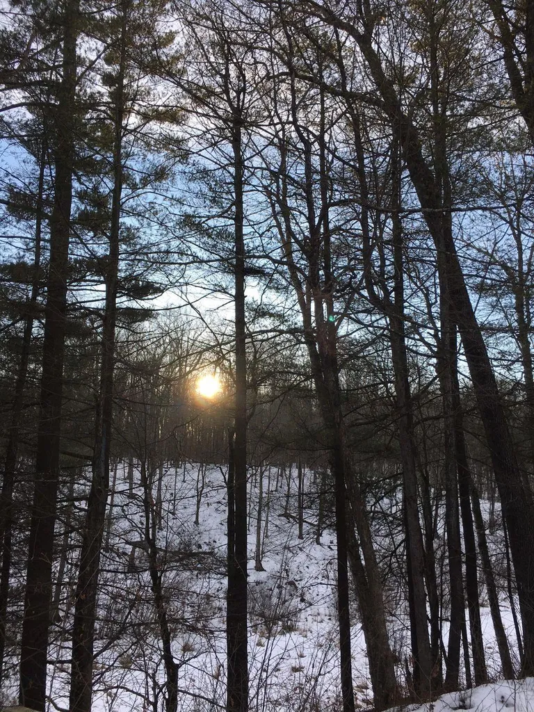 118 Wyndham Road Colchester VT 05446