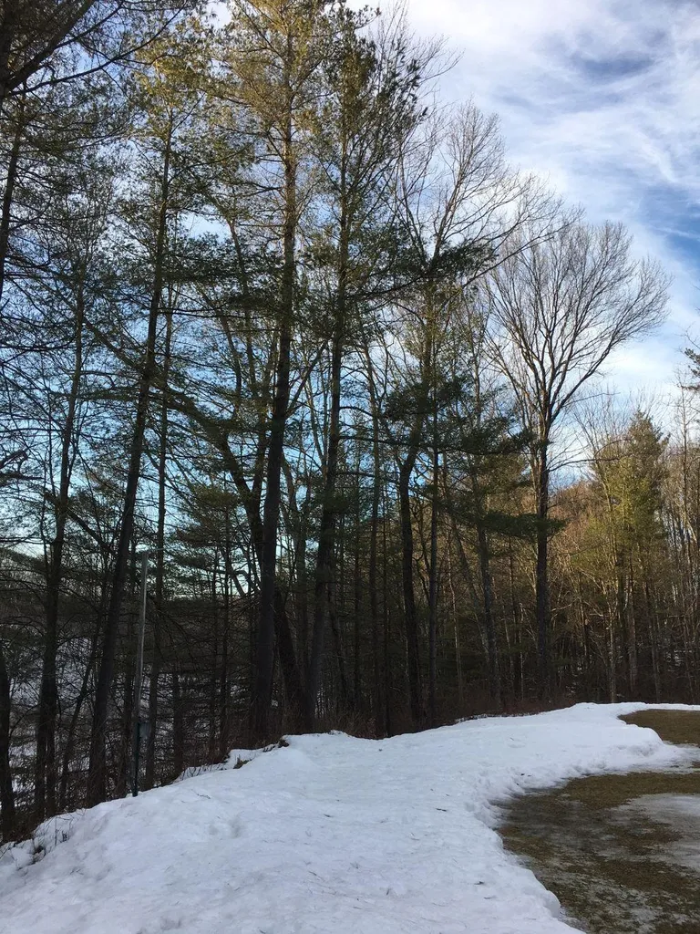 118 Wyndham Road Colchester VT 05446