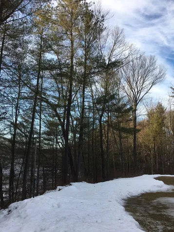 118 Wyndham Road Colchester VT 05446