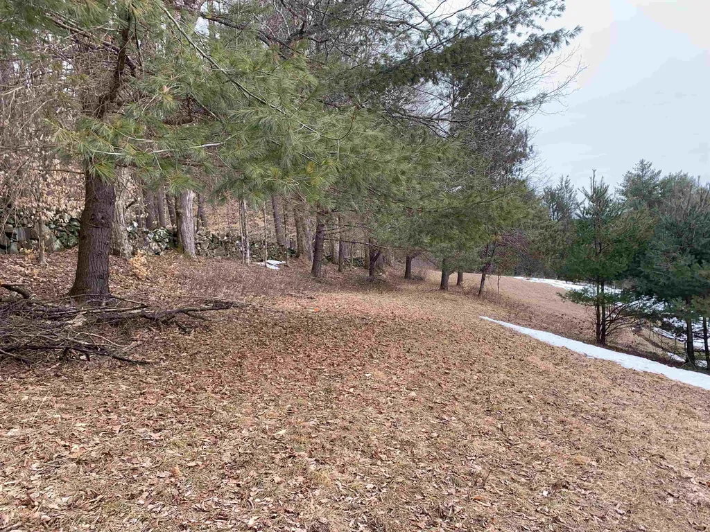2943 Cox District Road Woodstock VT 05091