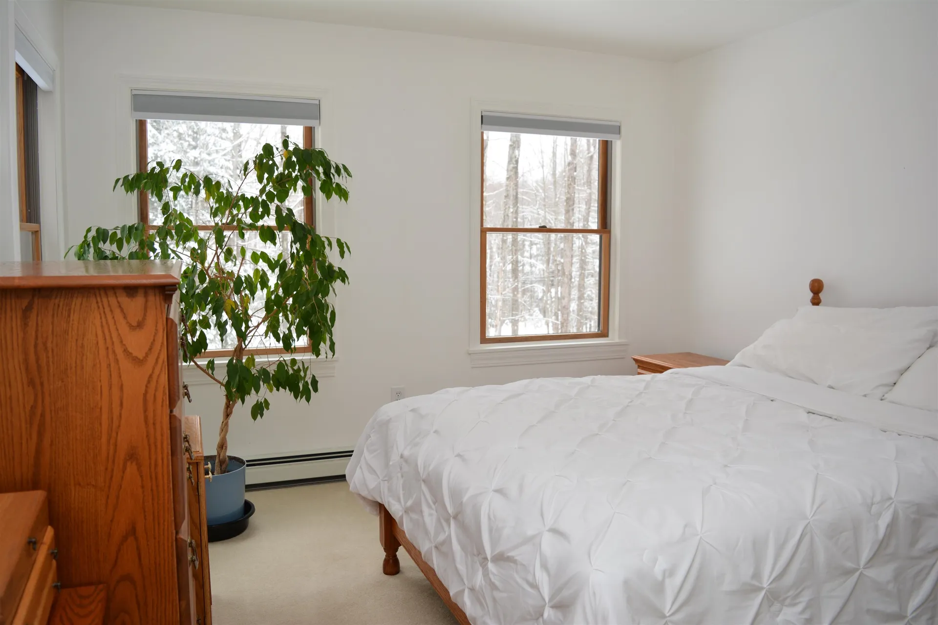 6 Hickory Overlook Enfield NH 03748