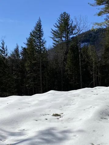 F4 Cave Mountain Road Bartlett NH 03812