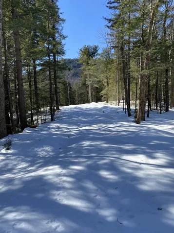 F4 Cave Mountain Road Bartlett NH 03812