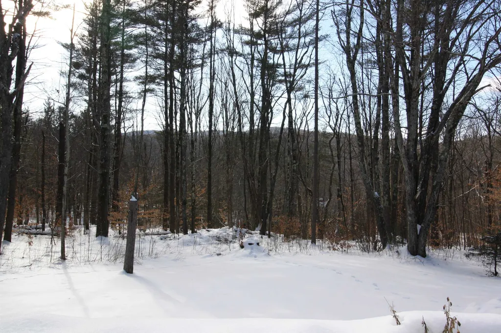 138 Maiden Lane Ripton VT 05766