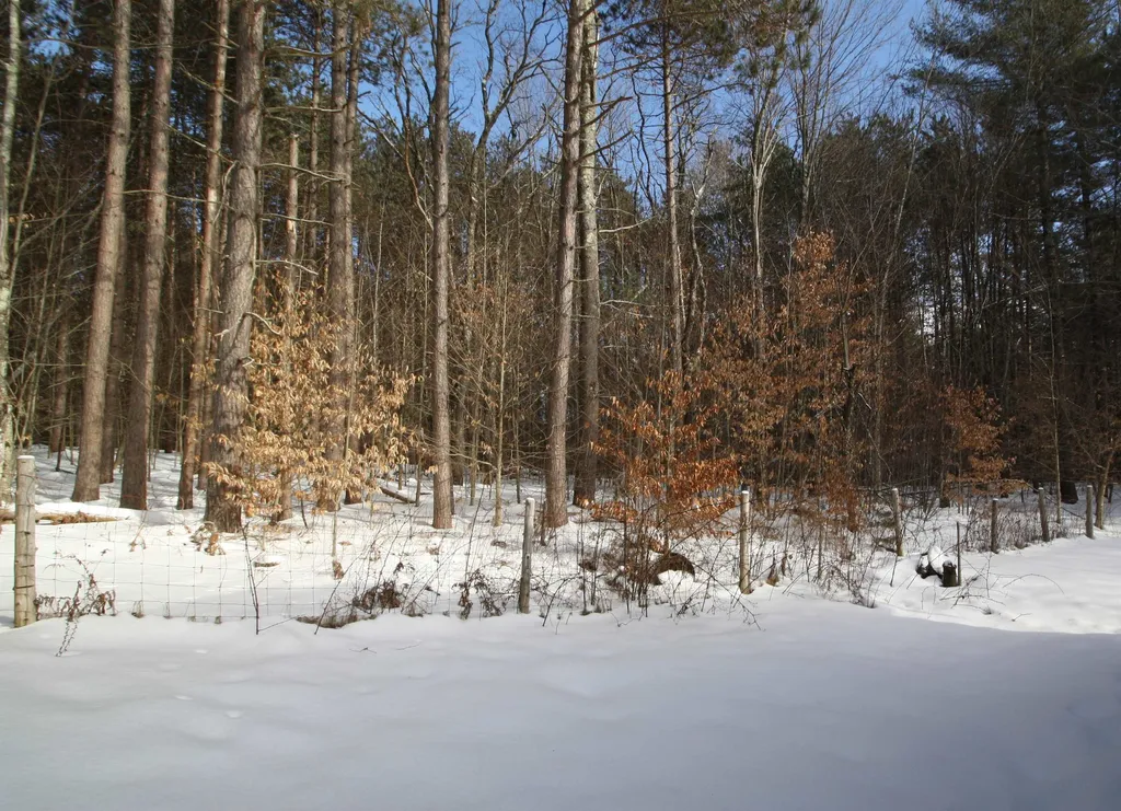 138 Maiden Lane Ripton VT 05766