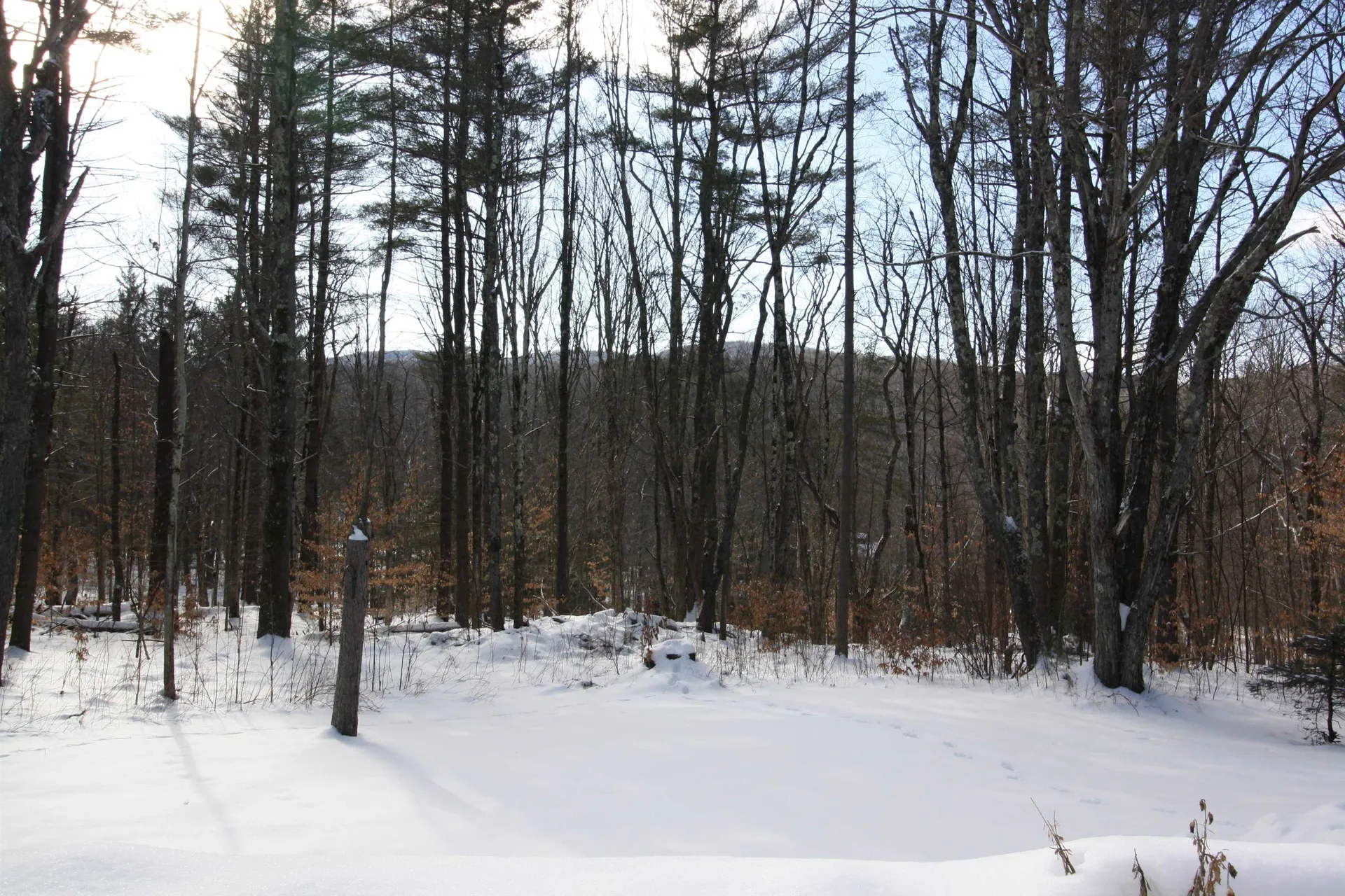 138 Maiden Lane Ripton VT 05766
