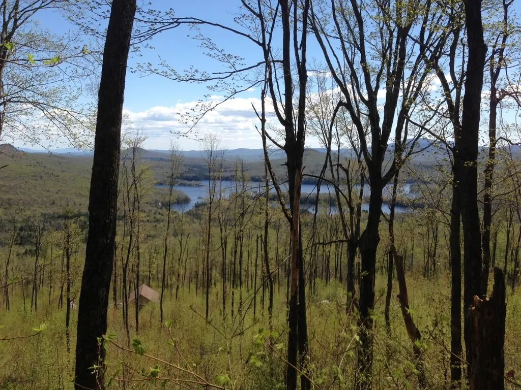 527 Peacham Pond Road Peacham VT 05862