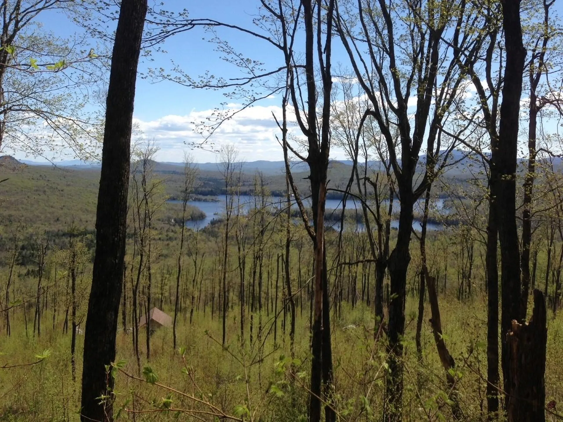 527 Peacham Pond Road Peacham VT 05862