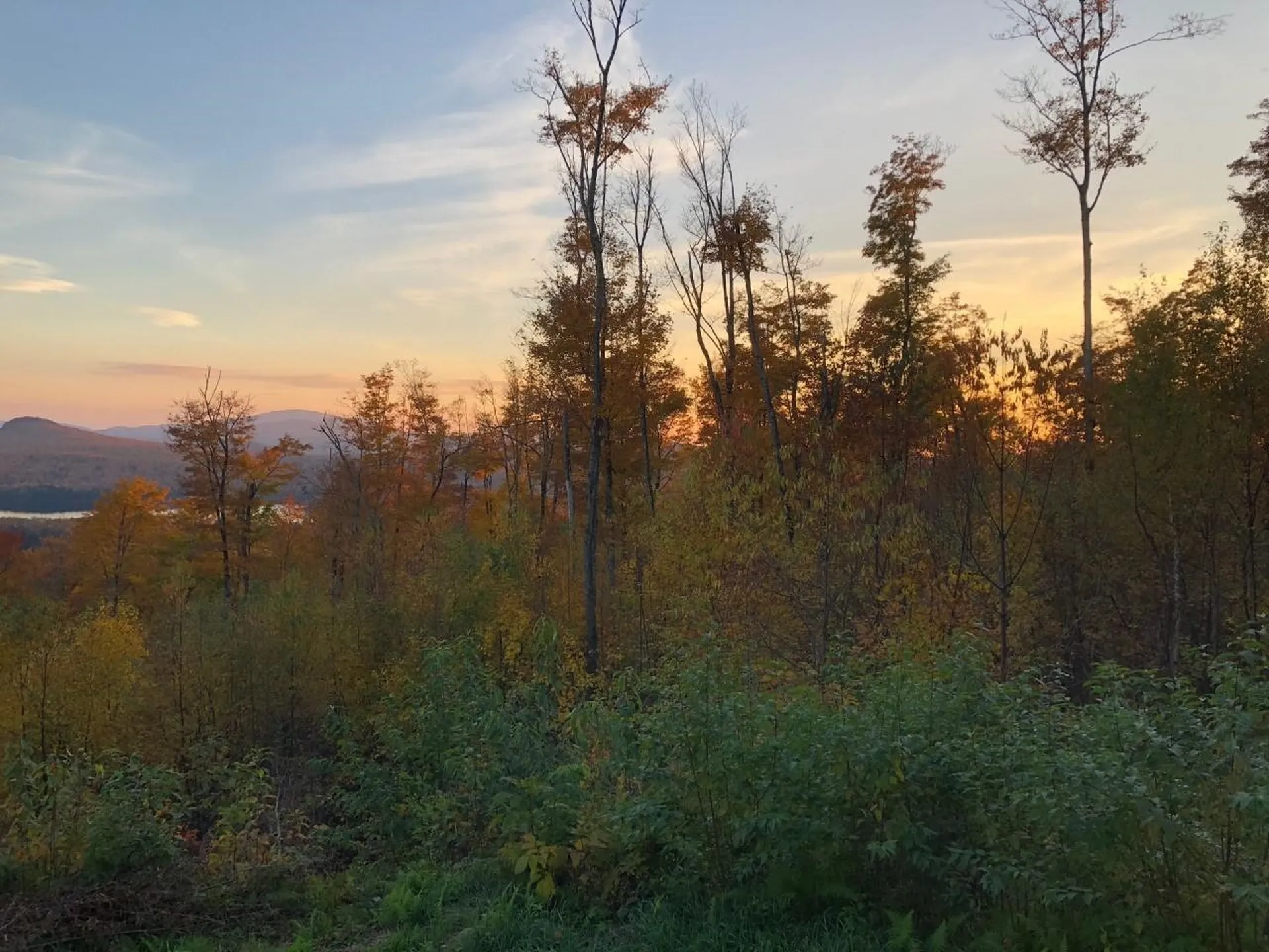 527 Peacham Pond Road Peacham VT 05862