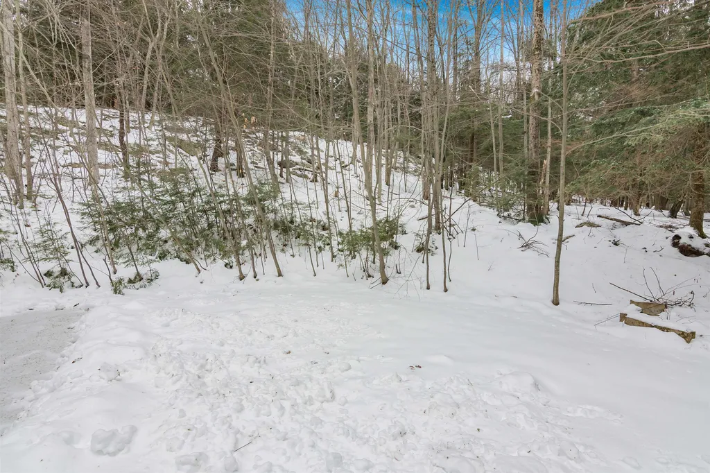 130 Sunwood Lane Bristol VT 05443