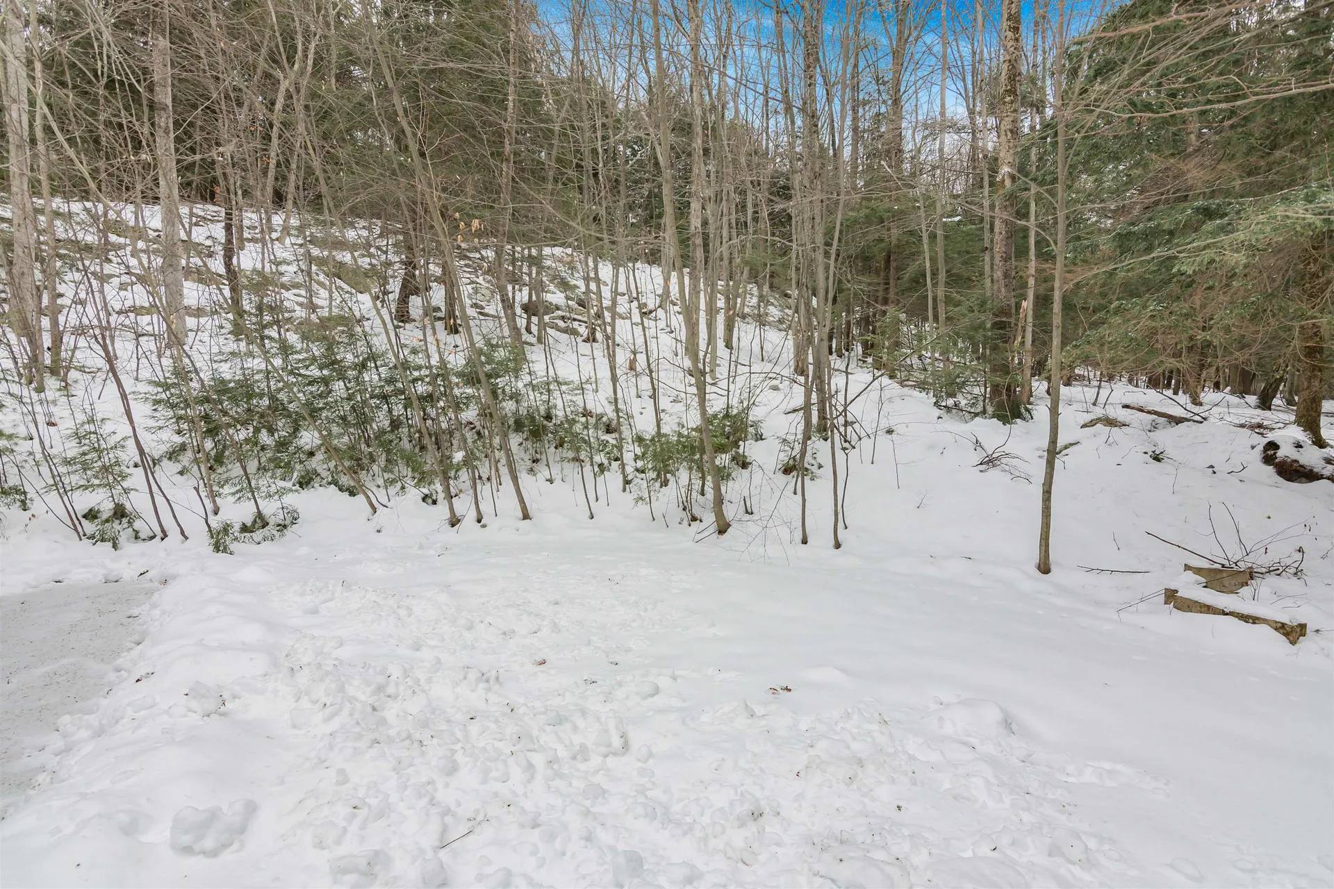 130 Sunwood Lane Bristol VT 05443
