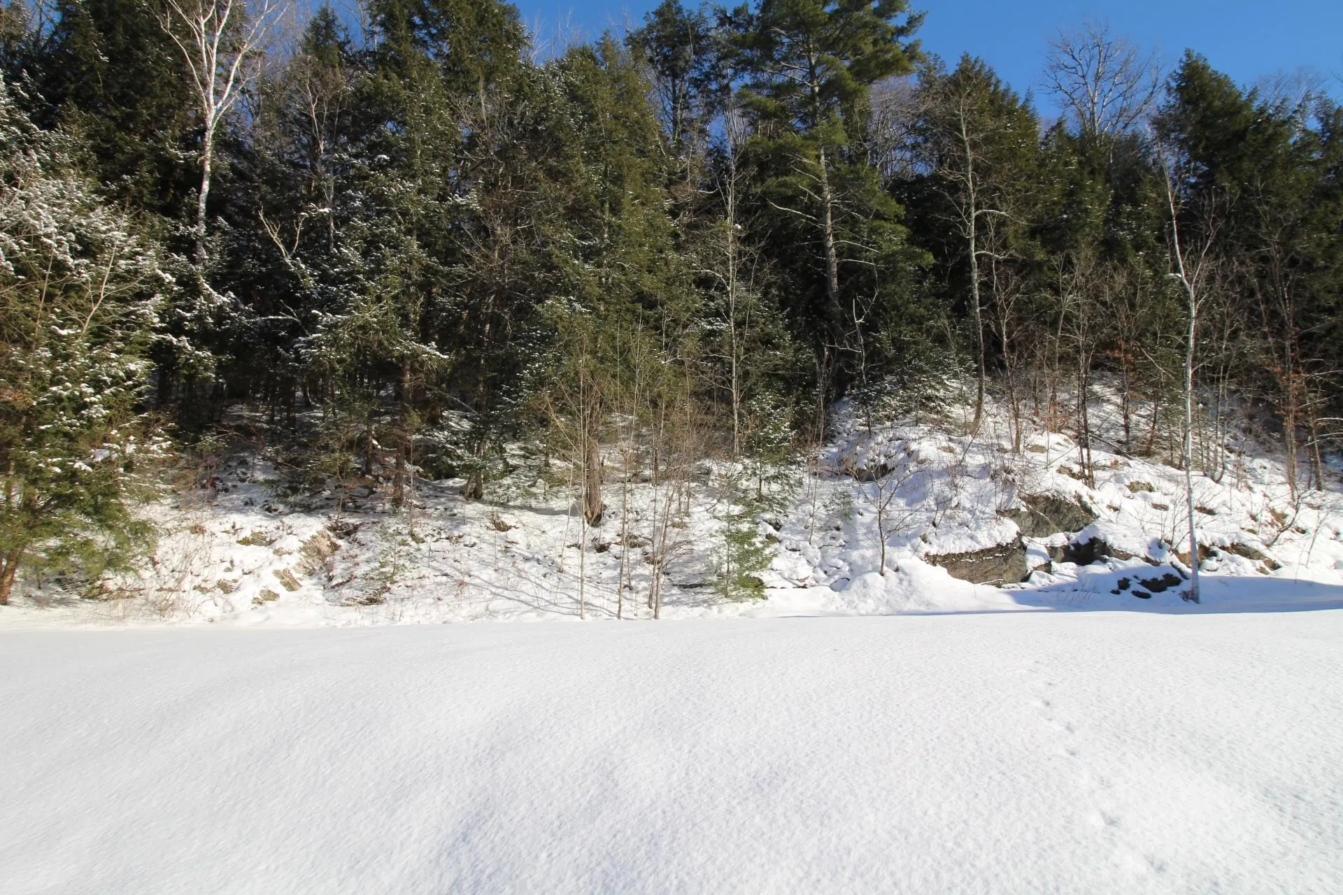 429 Browns River Road Essex VT 05452