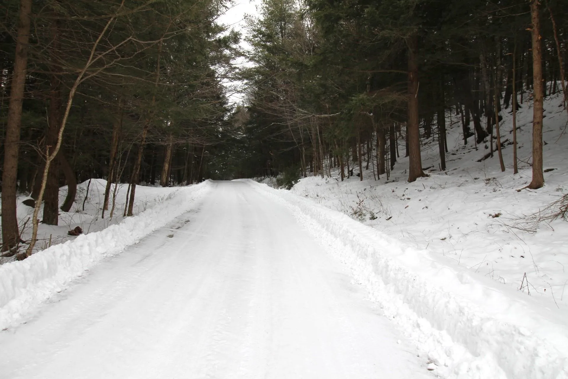429 Browns River Road Essex VT 05452