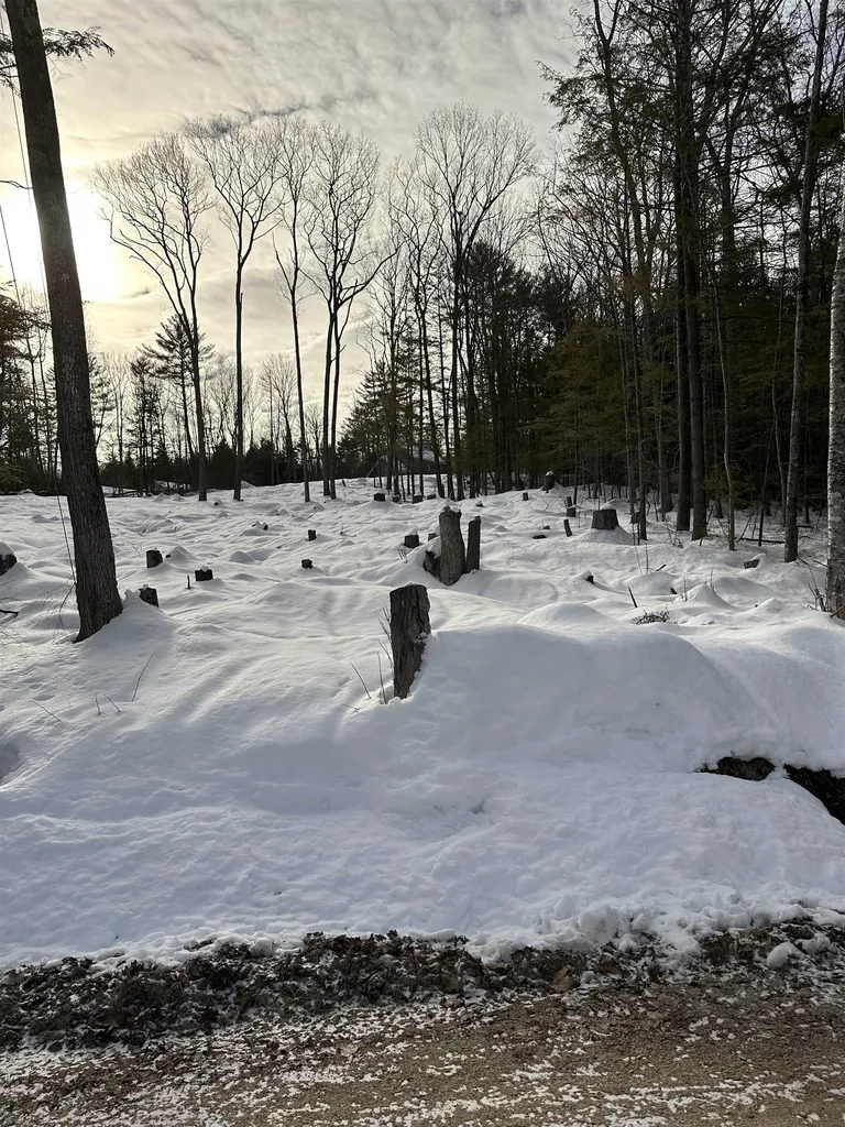 257 Northeast Pond Road Milton NH 03851