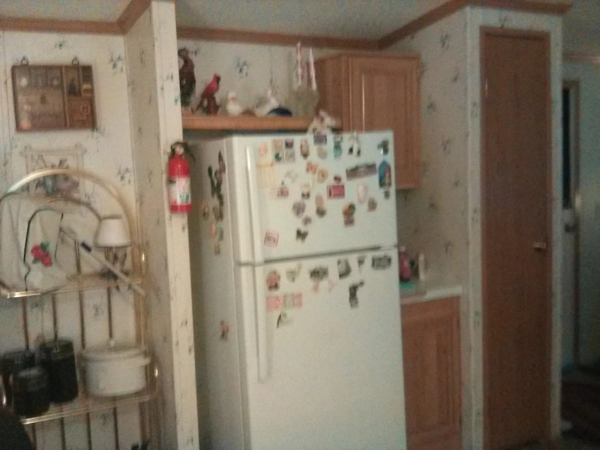 174 Katy Win Road Johnson VT 05656