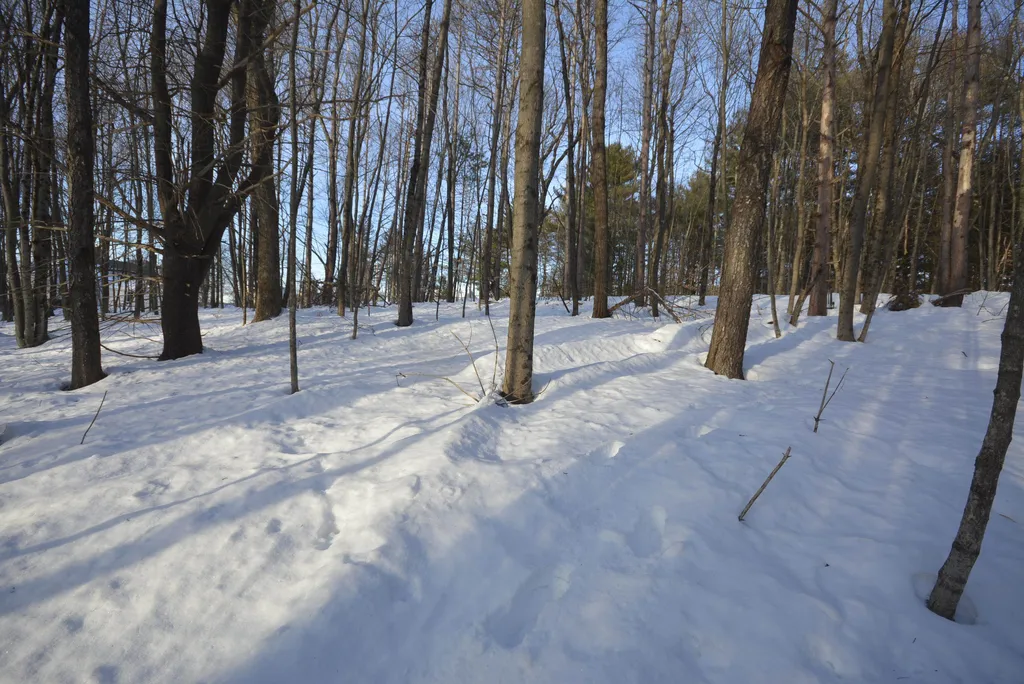 73 Fairview Drive Pittsfield NH 03263