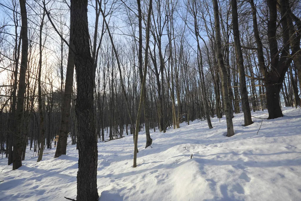 73 Fairview Drive Pittsfield NH 03263