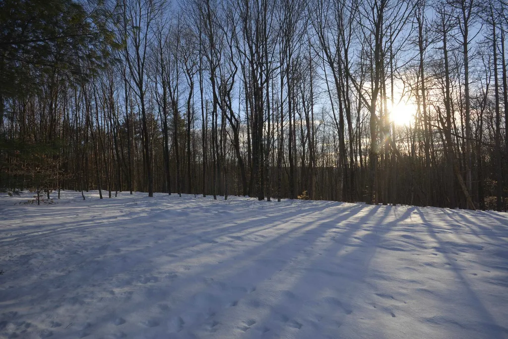 73 Fairview Drive Pittsfield NH 03263