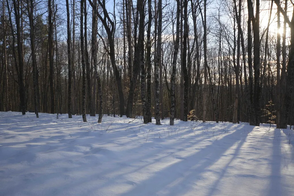73 Fairview Drive Pittsfield NH 03263