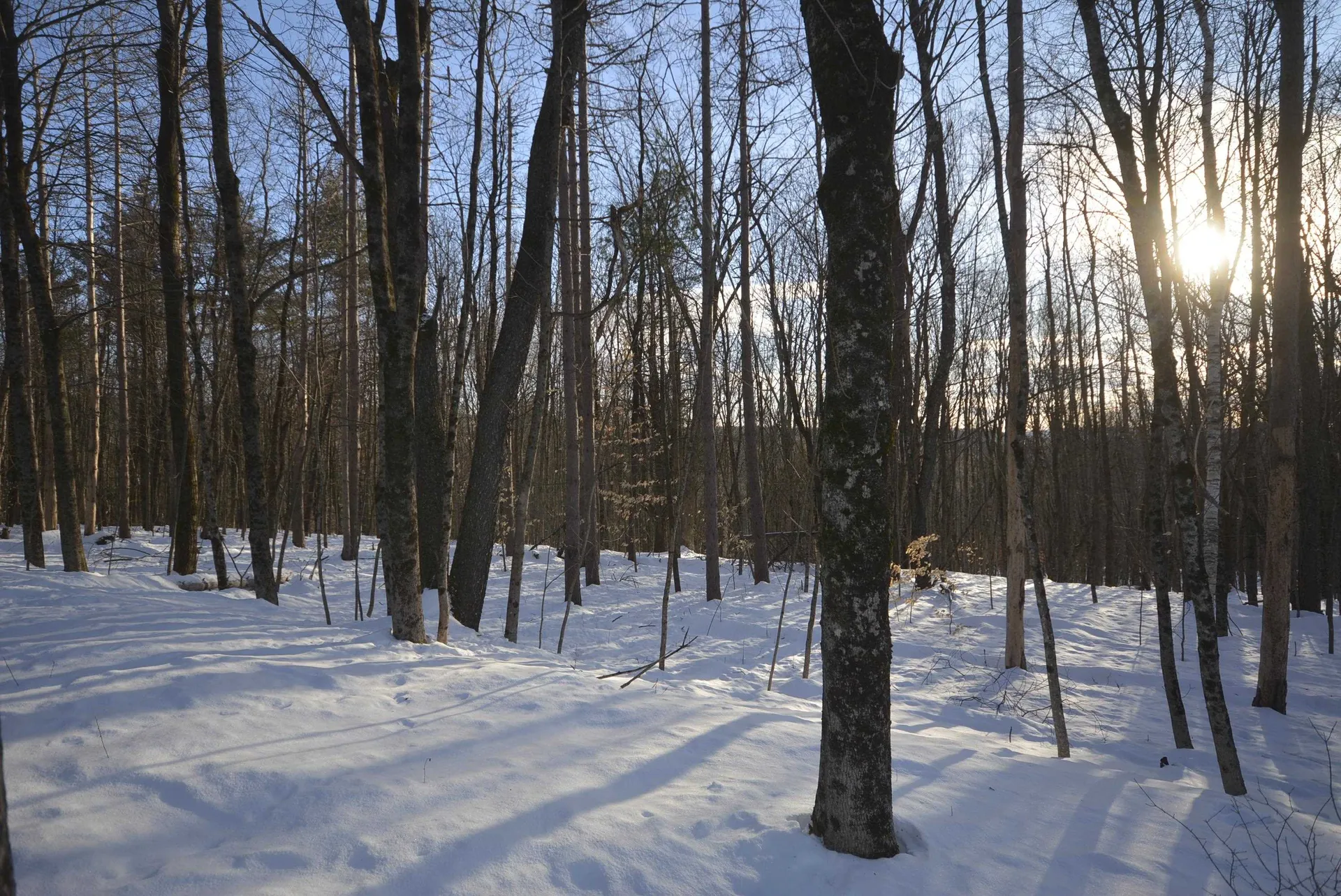 73 Fairview Drive Pittsfield NH 03263
