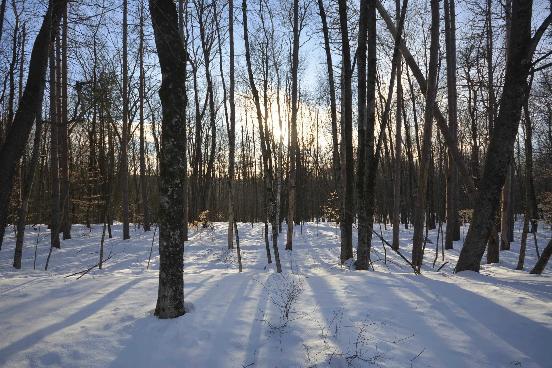 73 Fairview Drive Pittsfield NH 03263