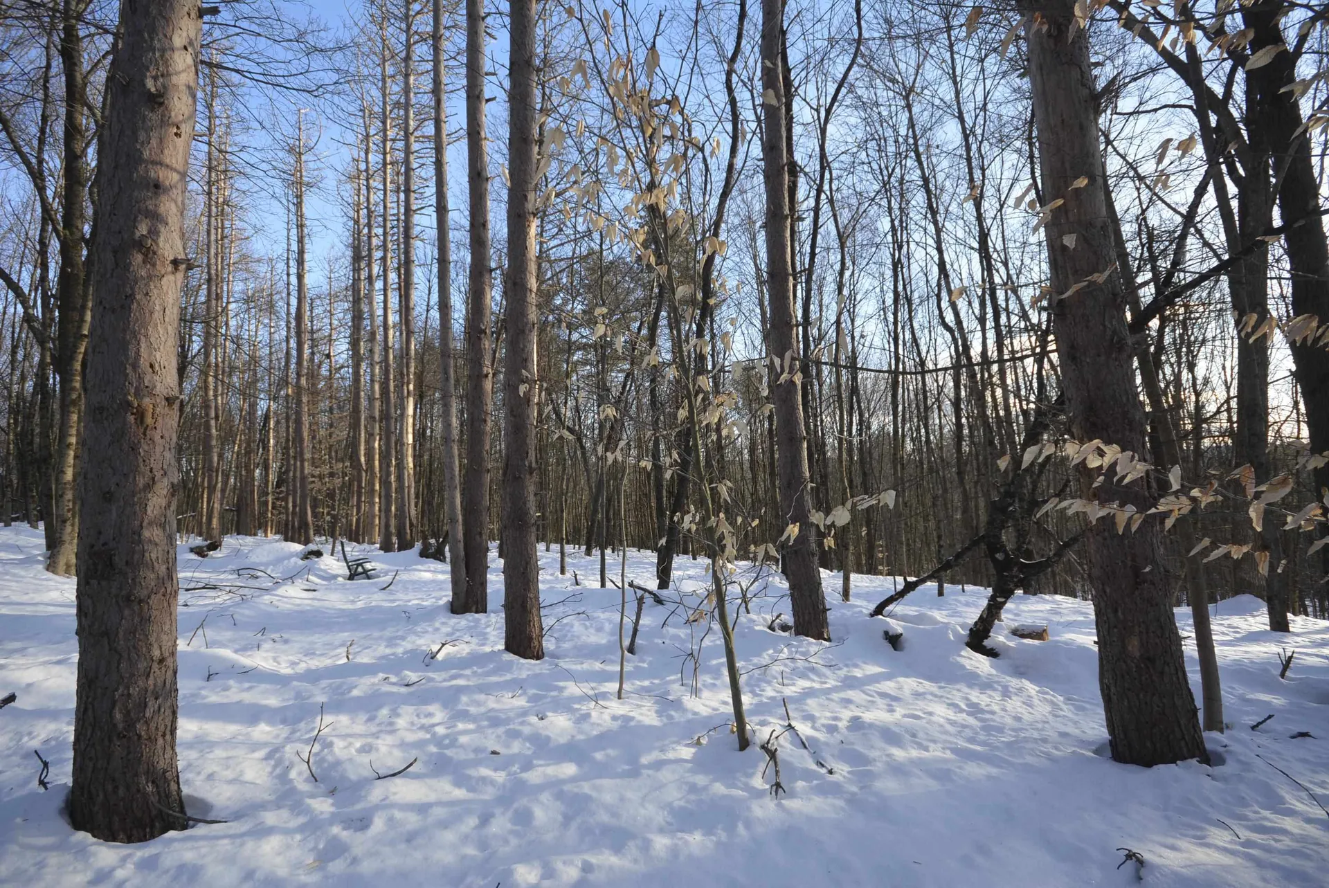 73 Fairview Drive Pittsfield NH 03263