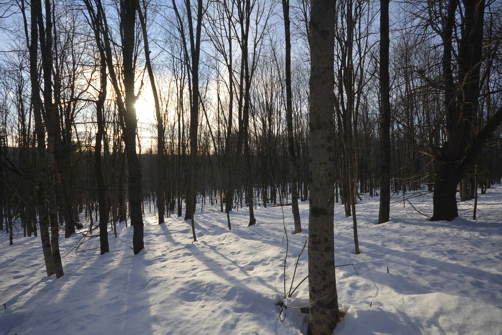 73 Fairview Drive Pittsfield NH 03263