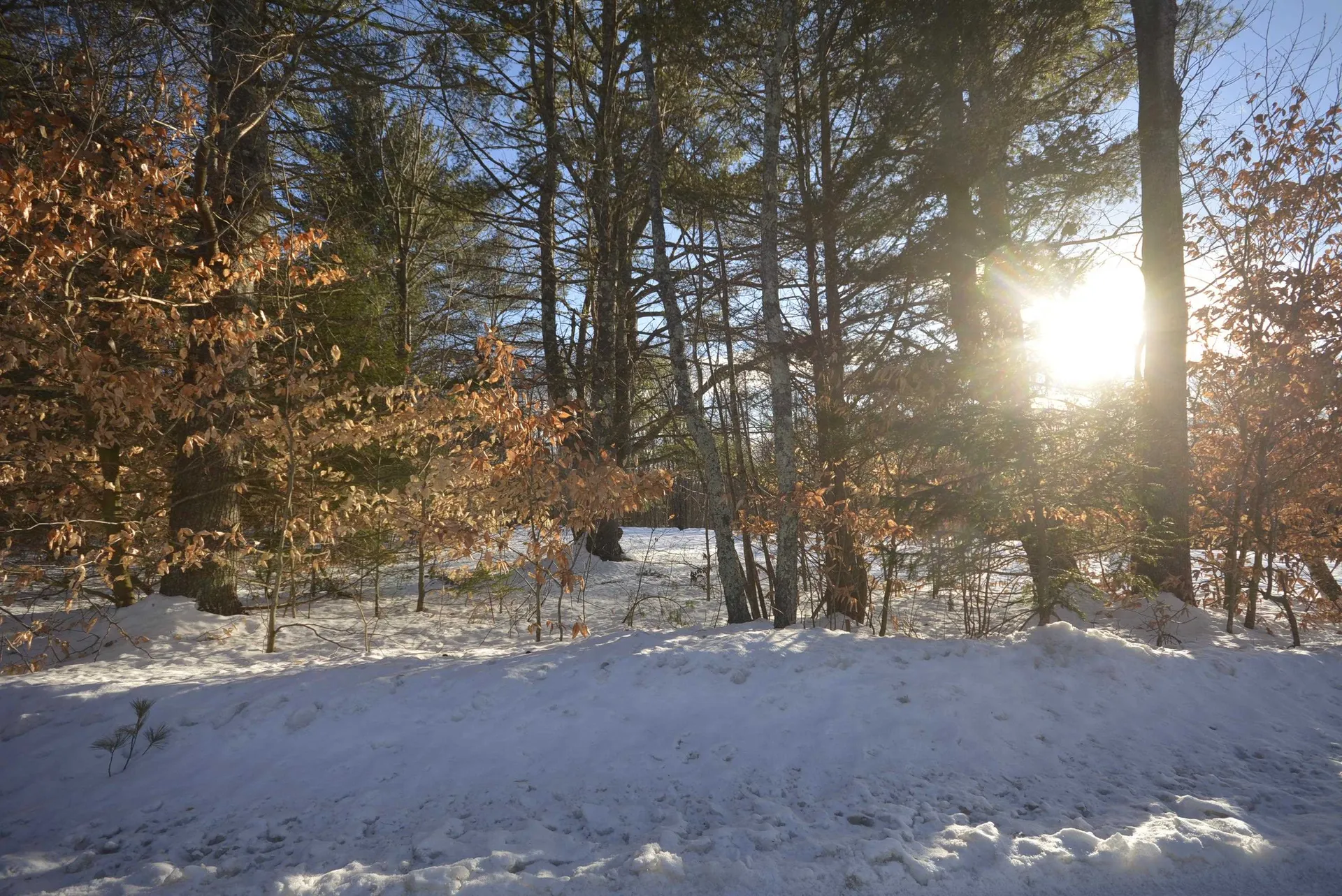 73 Fairview Drive Pittsfield NH 03263