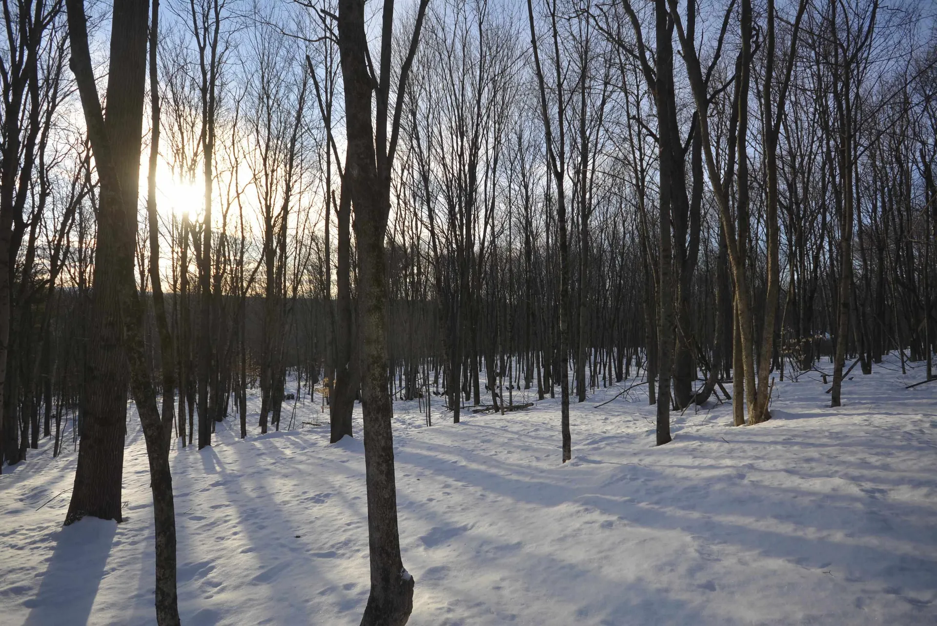 73 Fairview Drive Pittsfield NH 03263