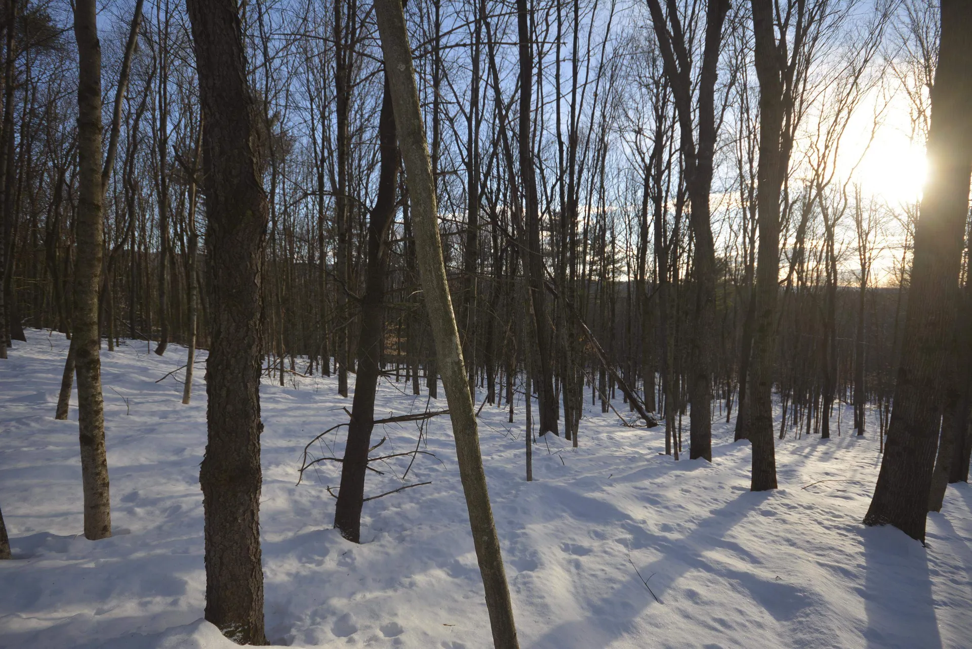 73 Fairview Drive Pittsfield NH 03263