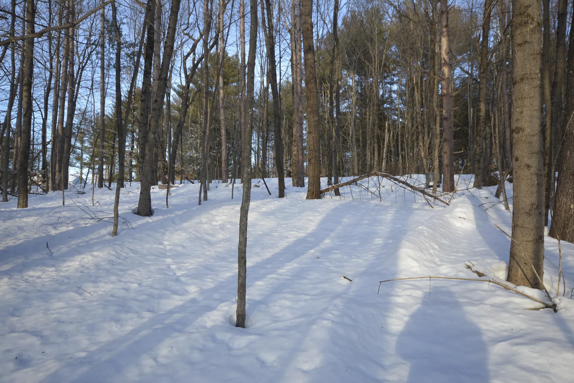 73 Fairview Drive Pittsfield NH 03263