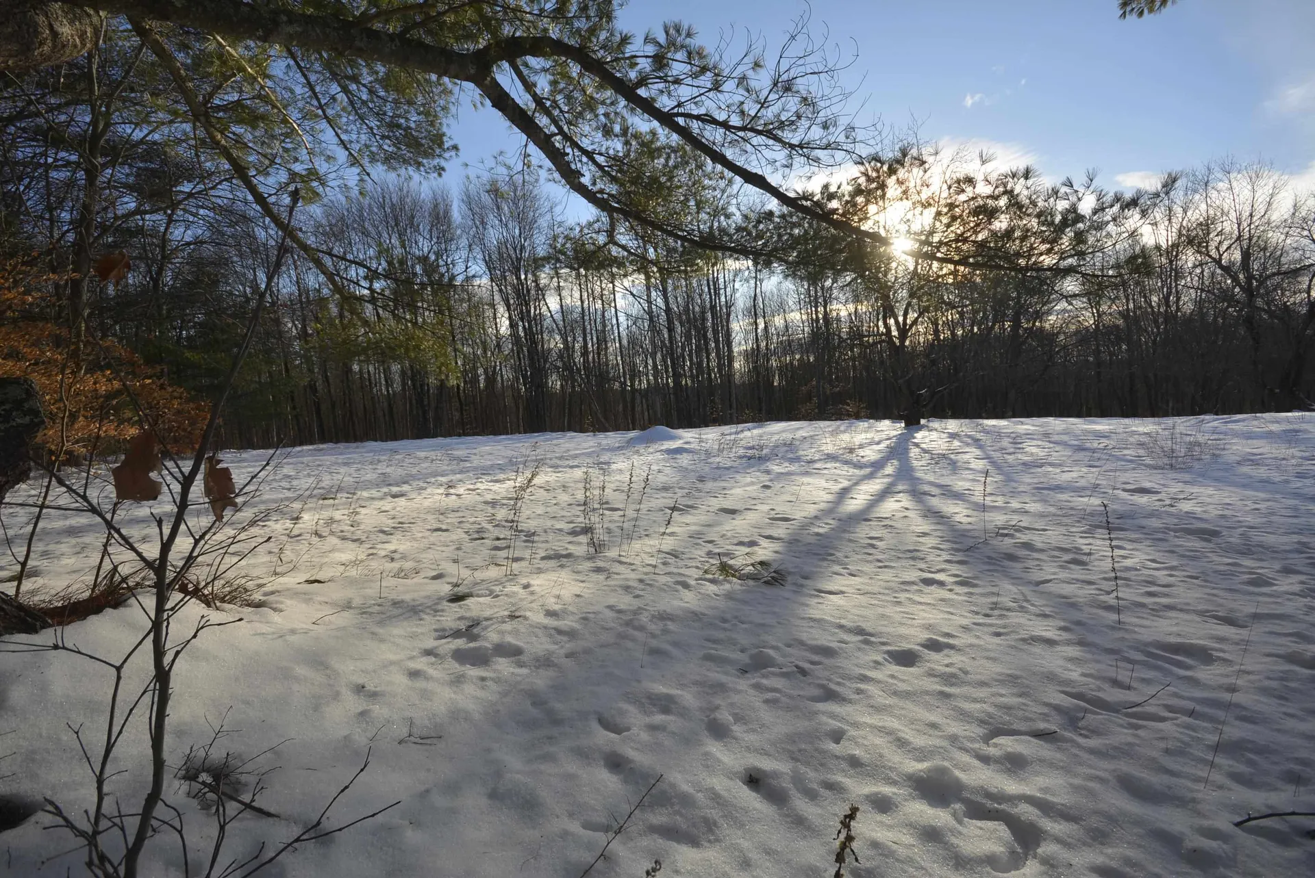 73 Fairview Drive Pittsfield NH 03263