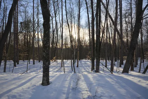73 Fairview Drive Pittsfield NH 03263