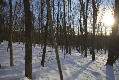73 Fairview Drive Pittsfield NH 03263