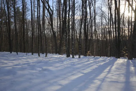 73 Fairview Drive Pittsfield NH 03263