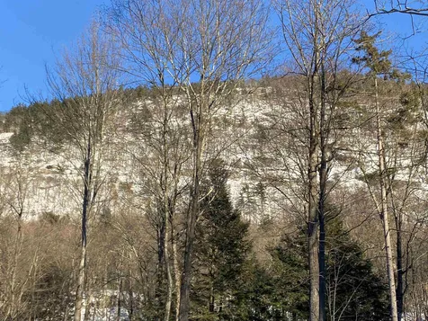 98 Forest Ridge Drive Bristol VT 05443