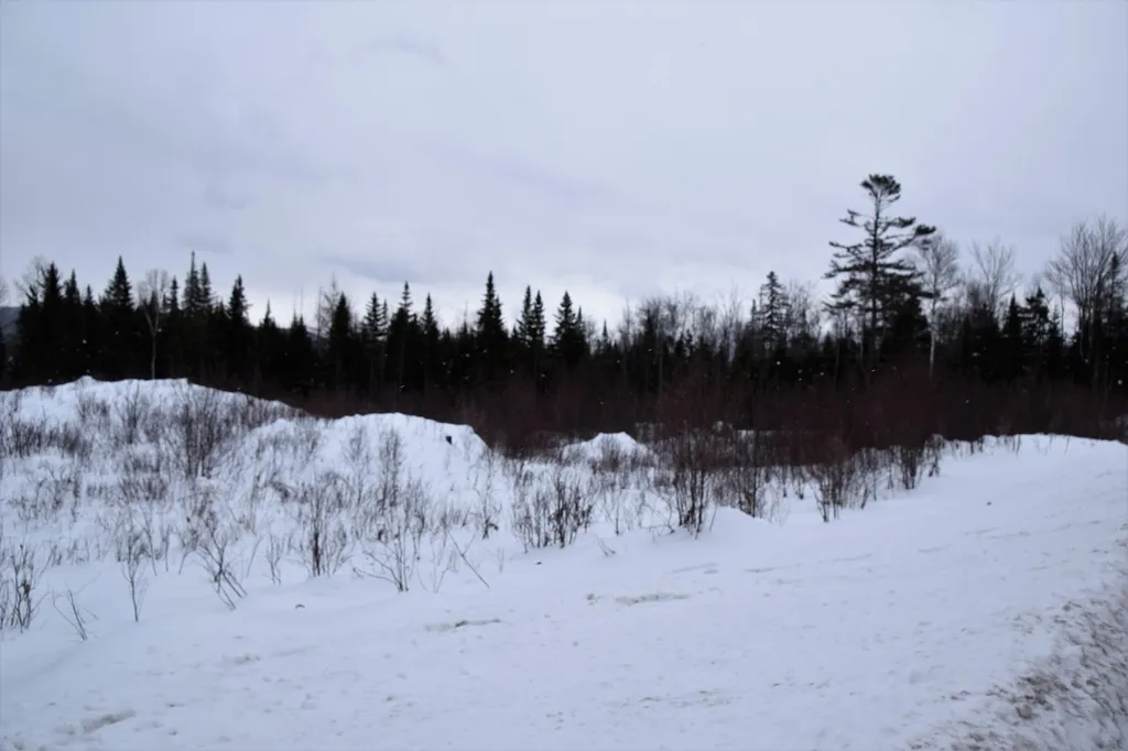 Loon Road Berlin NH 03570