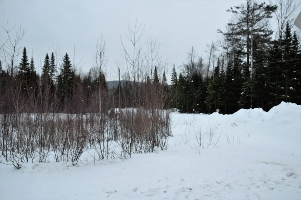 Loon Road Berlin NH 03570