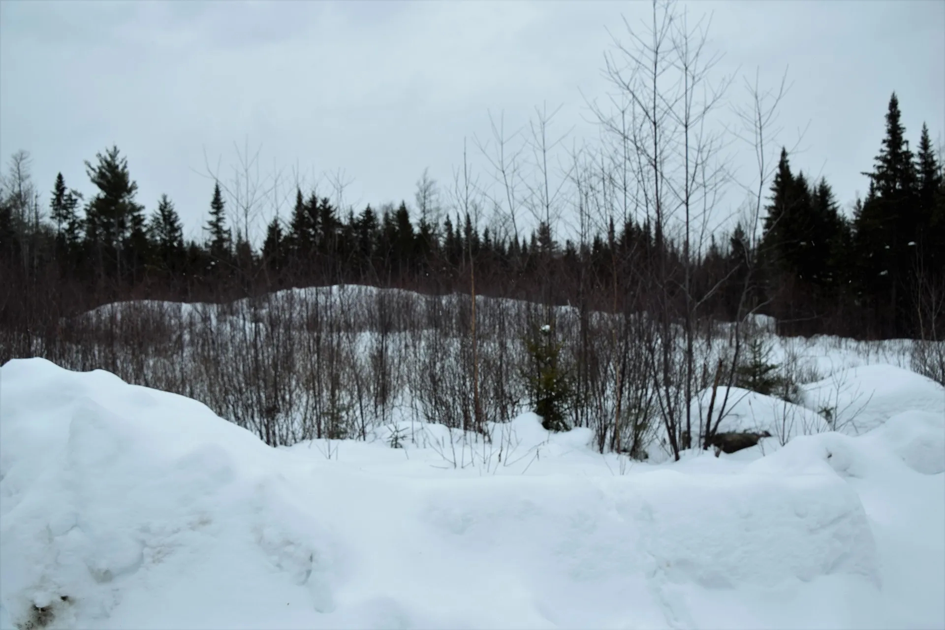 Loon Road Berlin NH 03570